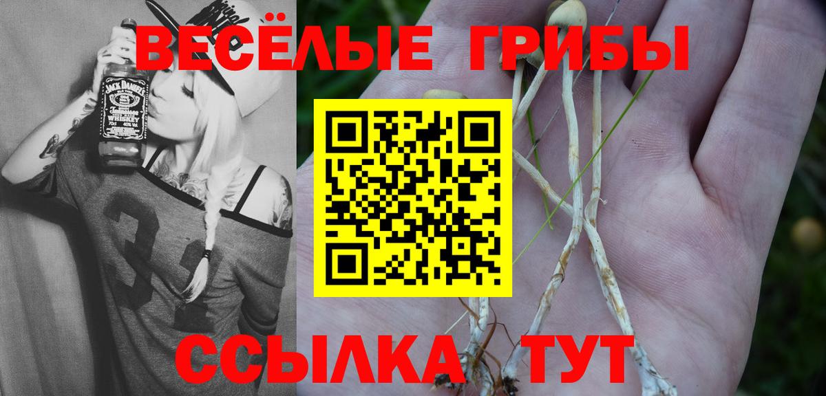 Новотроицк  Галлюциногенные грибы ЛСД  Вход с VPN 